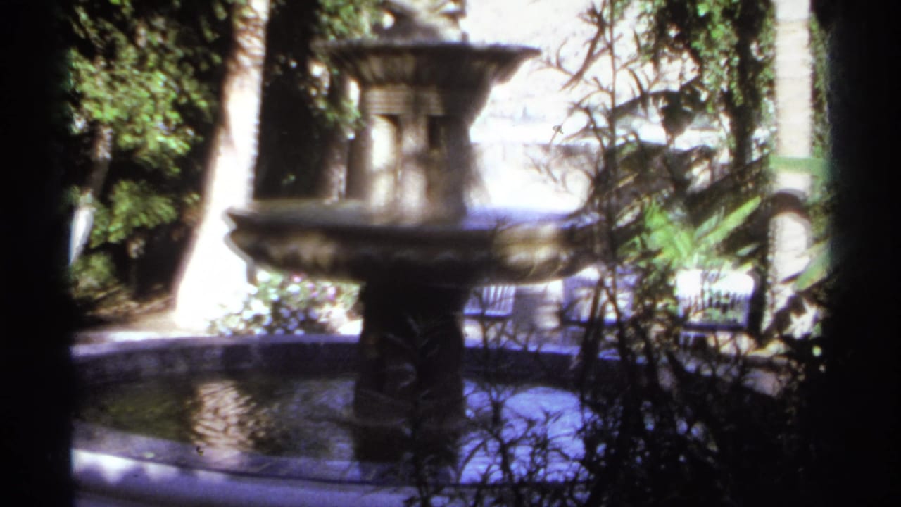 Stone fountain and basin partly obscured by dark tree trunks and foliage.