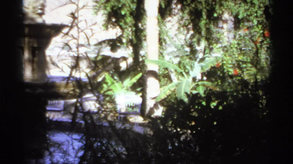 1974 Cabo San Lucas 8mm frame with the fountain partly cropped, dense garden foliage, large leaves, and strong sunlit highlights.