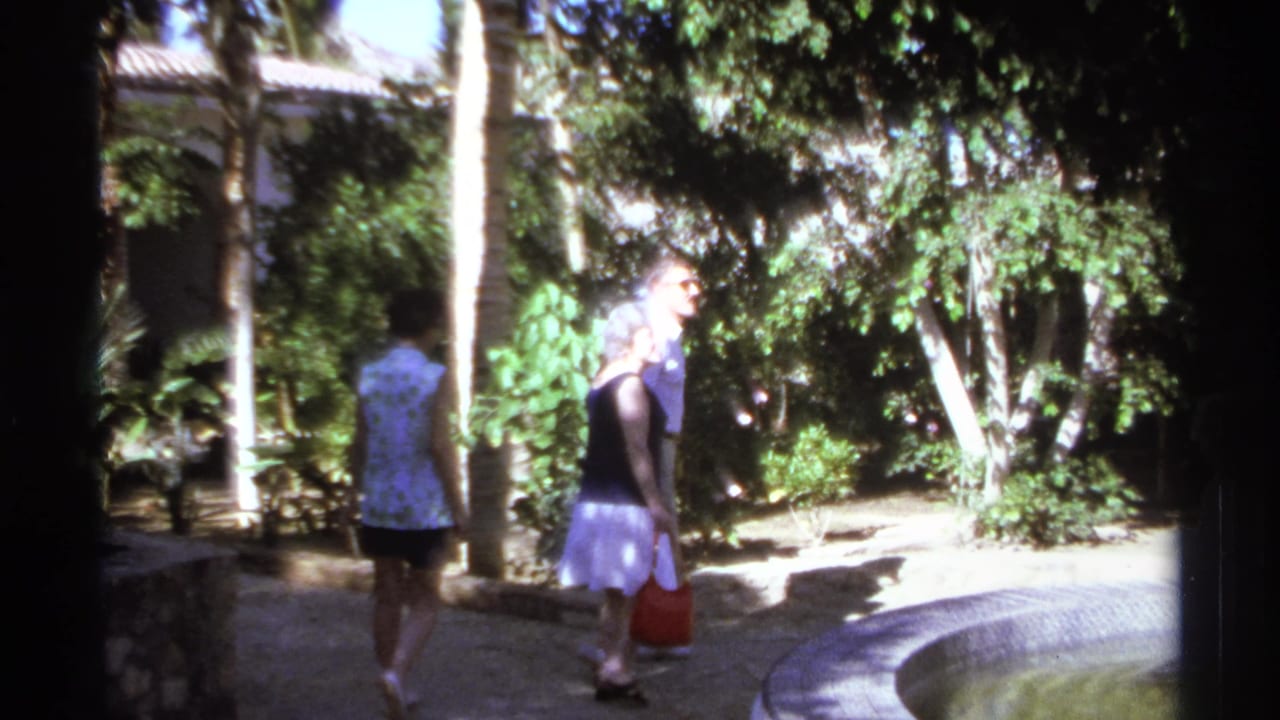 Adults walking along a sunlit garden path with palms and dense foliage nearby.