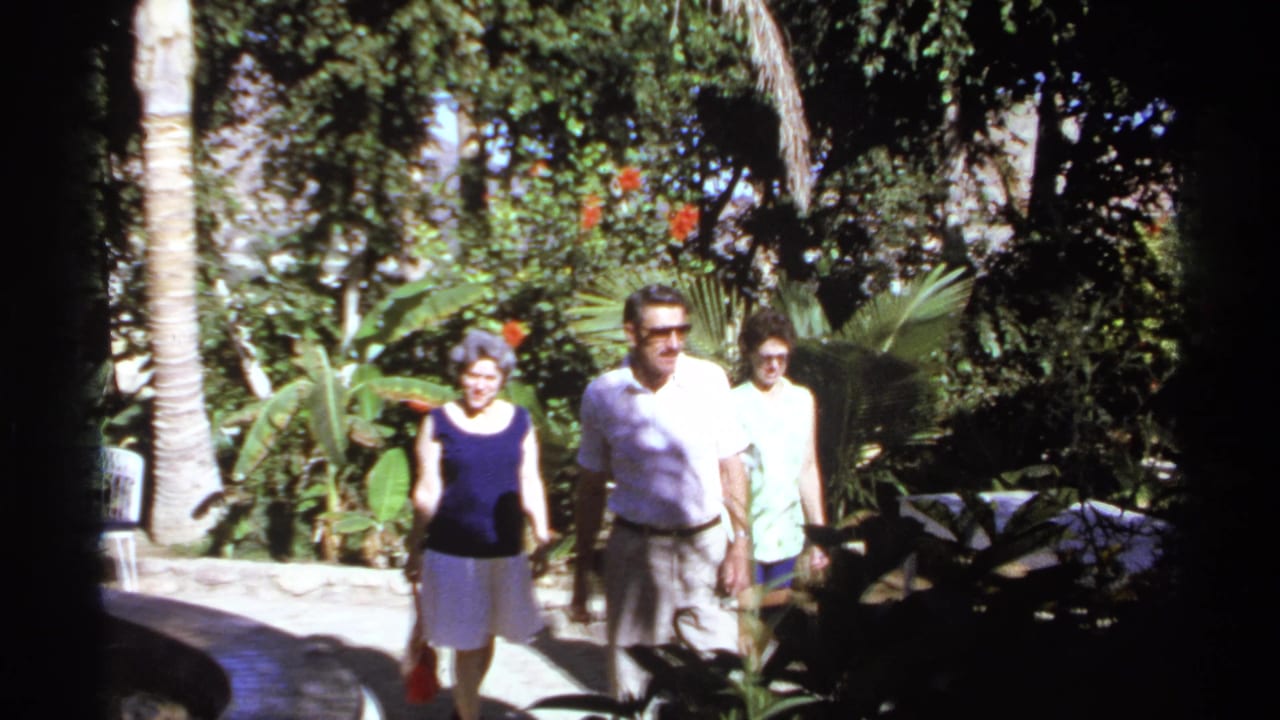 Three adults walking on a sunny garden path surrounded by tropical plants.