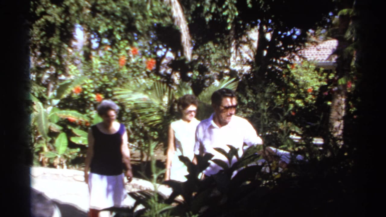 Three adults pass through a shaded tropical garden with bright plants behind them.