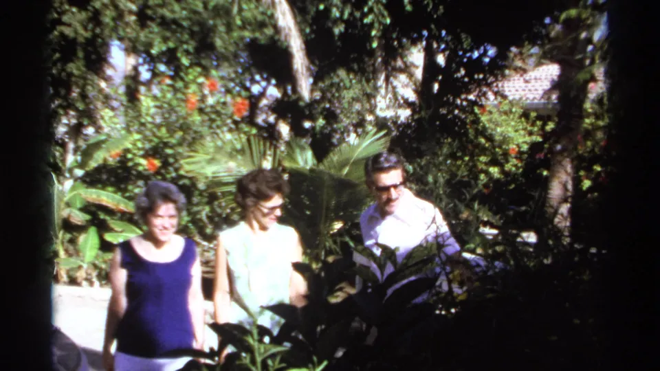 The group passes close to shaded plants while walking through a Cabo San Lucas tropical garden in 1974.