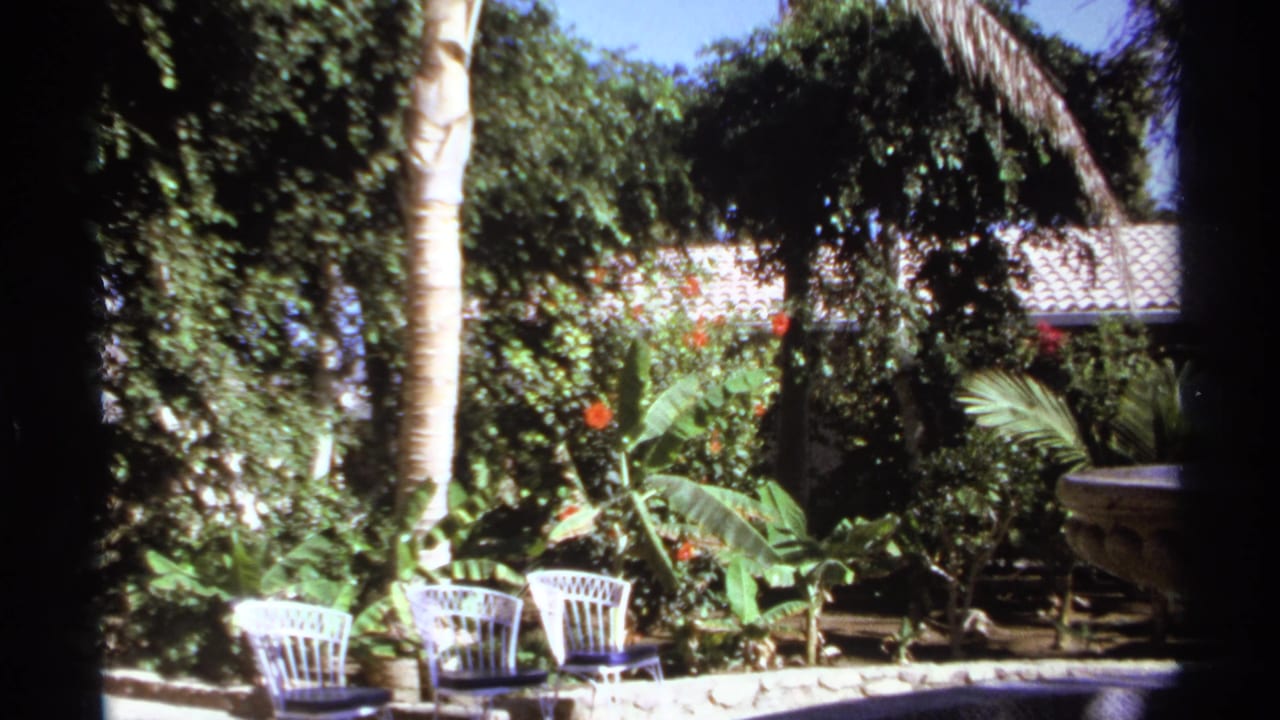 Tropical garden with white patio chairs, palm trunks, a low wall, and a stone fountain edge.