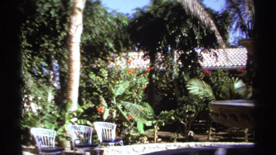 A 1974 Cabo San Lucas garden view shows white chairs near a low wall, tropical plants, a palm trunk, and the side of a stone fountain.