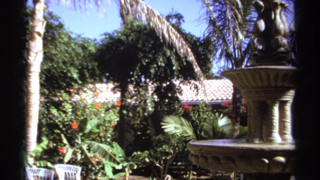 Stone fountain partly framed by palms, vines, red flowers and a tiled roof.