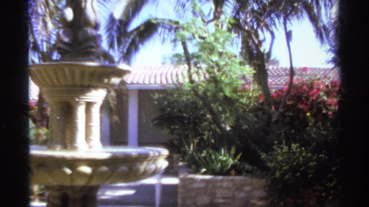 Stone fountain beside palms and flowering shrubs in a sunny garden.