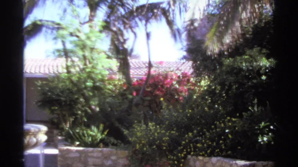 1974 Cabo San Lucas home-movie frame of dense tropical planting, red flowers, palms, and a cropped fountain basin.