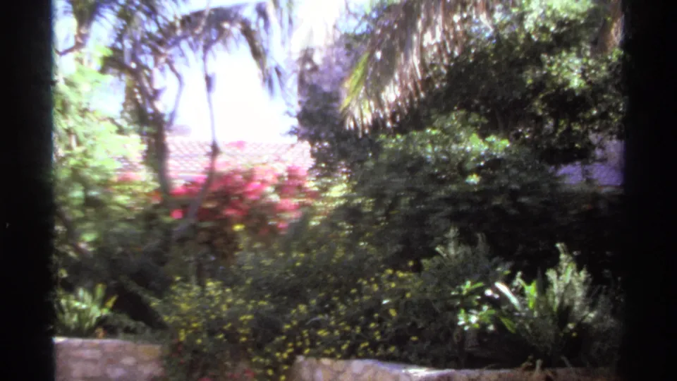 1974 Cabo San Lucas frame showing tropical shrubs, palm fronds, red flowers, and a sunlit low stone planter in soft 8mm focus.
