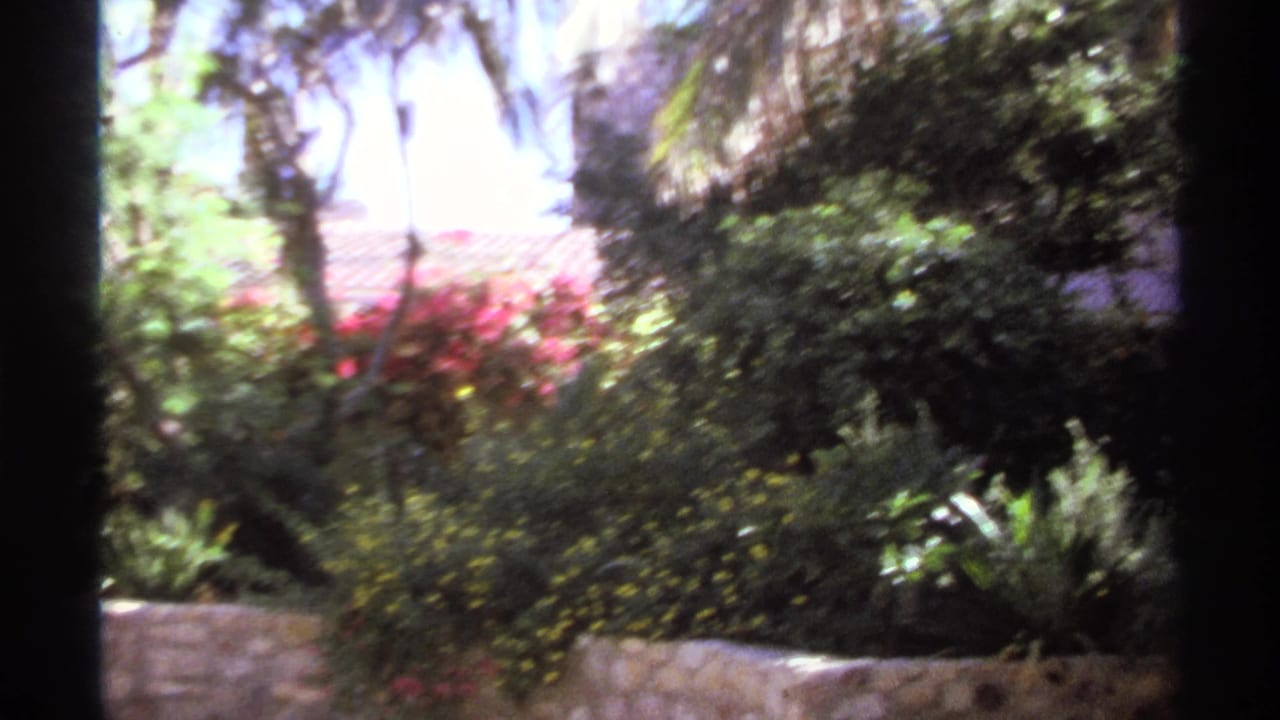 Tropical courtyard with palm trees, flowering shrubs, stone walls, and a tiled-roof building beyond.