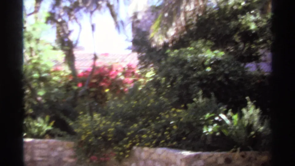 1974 Cabo San Lucas home-movie frame showing a sunlit tropical garden with palms, flowering shrubs, stone walls, and a tiled-roof building.