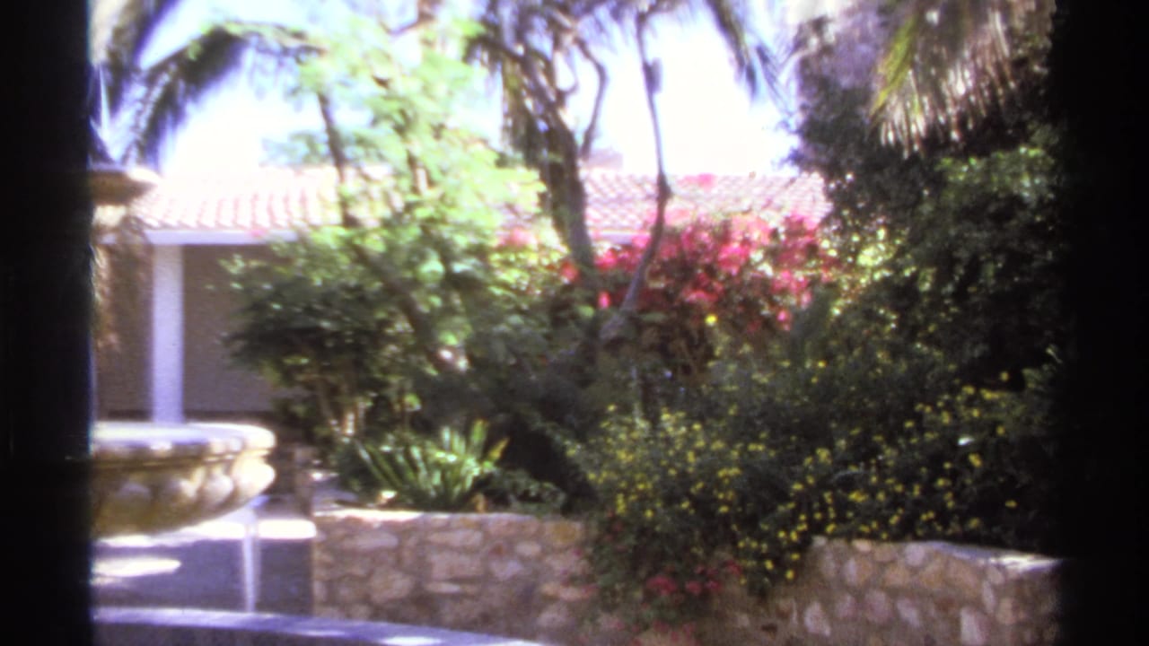 Garden courtyard with palms, flowering bushes, stone walls, and part of a fountain basin.