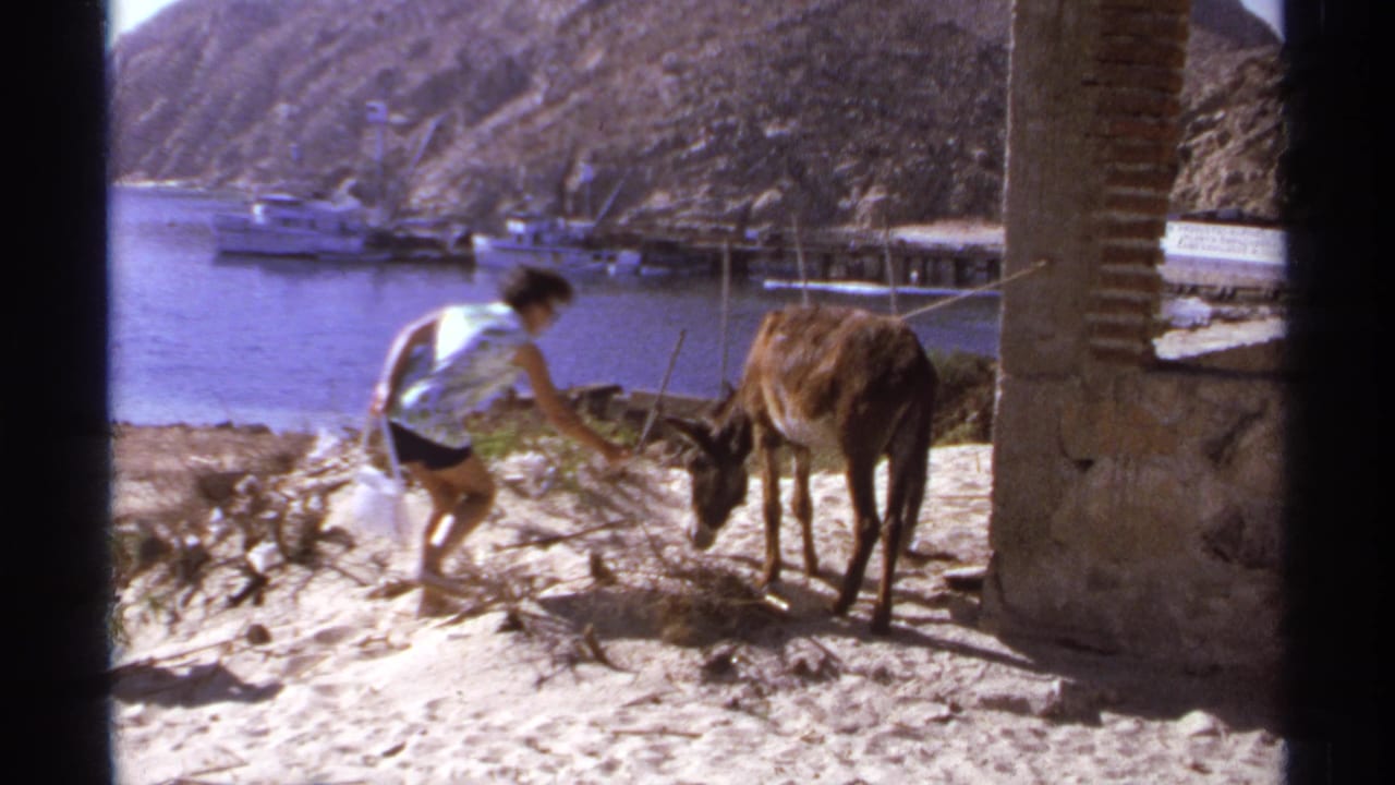 Woman bends near a donkey beside a stone wall, with harbor water and boats in the background.