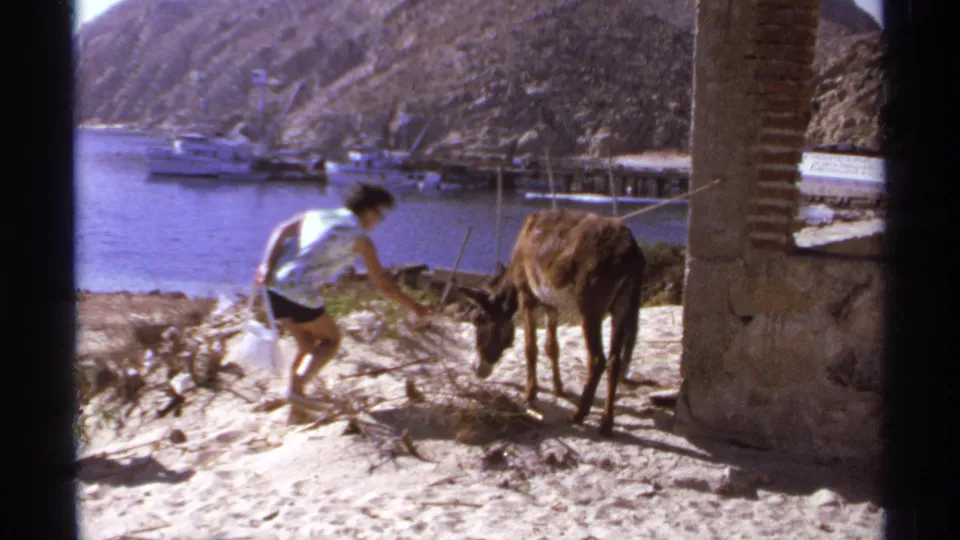 1974 Cabo San Lucas frame of a woman with a white bucket bending toward a donkey on sand near boats and rugged coastal cliffs.