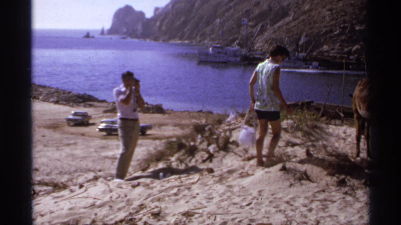 Man with camera stands on a sandy beach while a woman approaches a donkey near a rocky harbor.