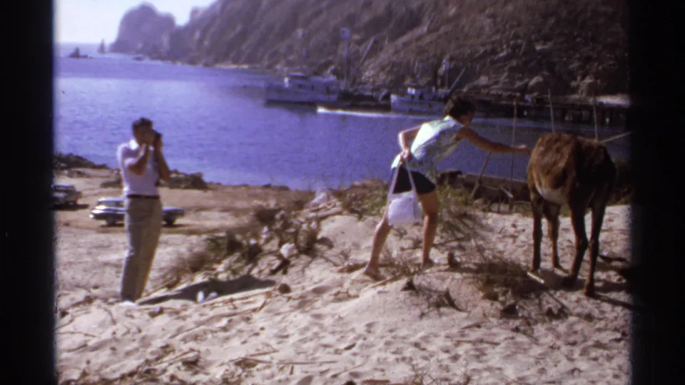 In the Cabo San Lucas home movie frame, the woman bends toward the donkey as the man photographs against a blue harbor backdrop.