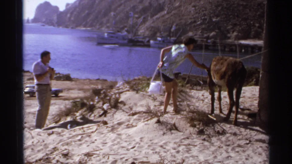 1974 Cabo San Lucas 8mm frame showing a traveler with a camera watching another adult pet a small donkey beside the bay.