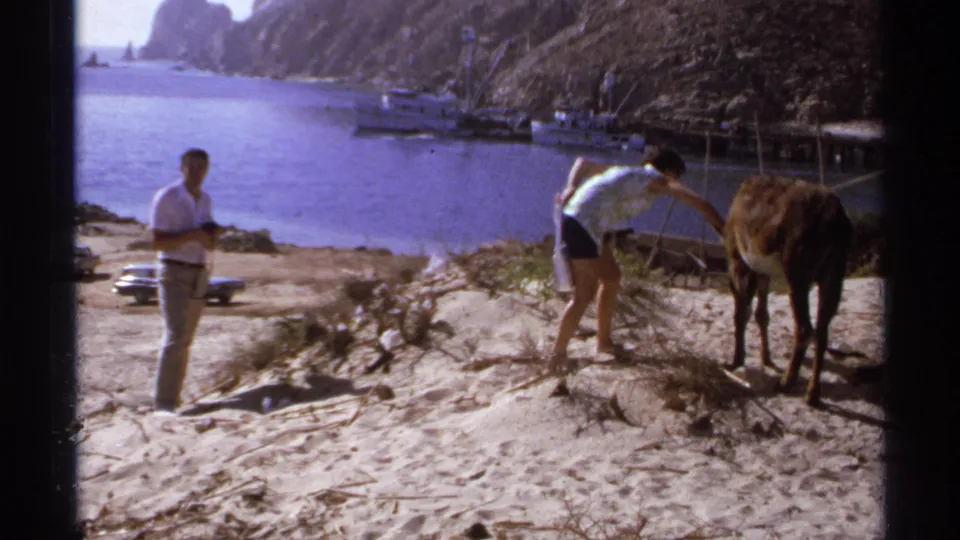 1974 Cabo San Lucas travel frame with one adult bent toward a small donkey and another standing near the shoreline with boats behind them.