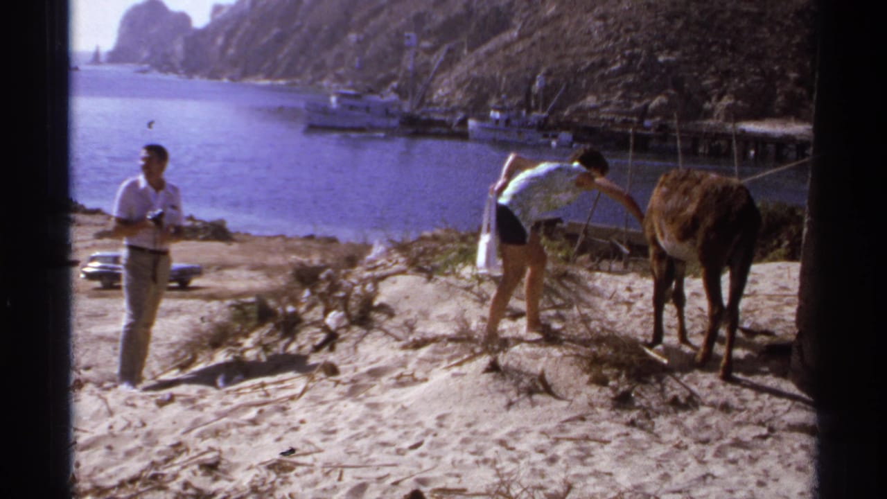 Man on sandy hill as woman bends near a donkey above a harbor with boats and rocky hills.