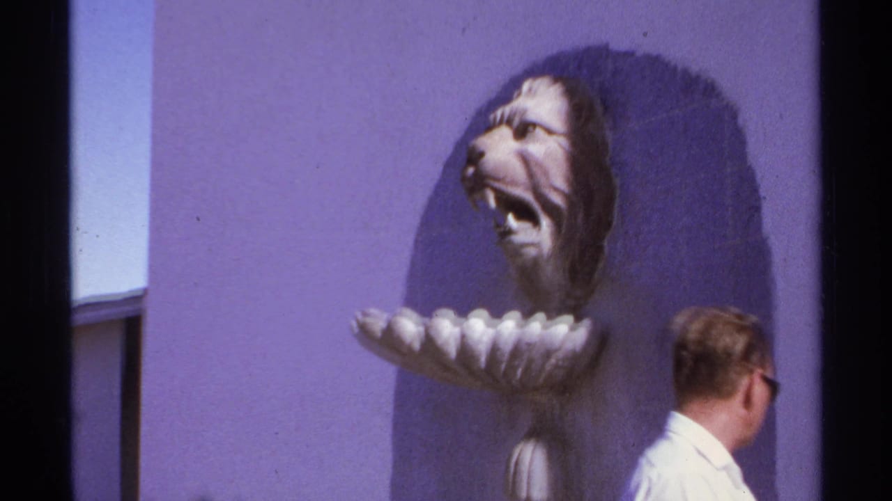 Man in a white shirt looks toward a large lion-head sculpture on a purple wall.