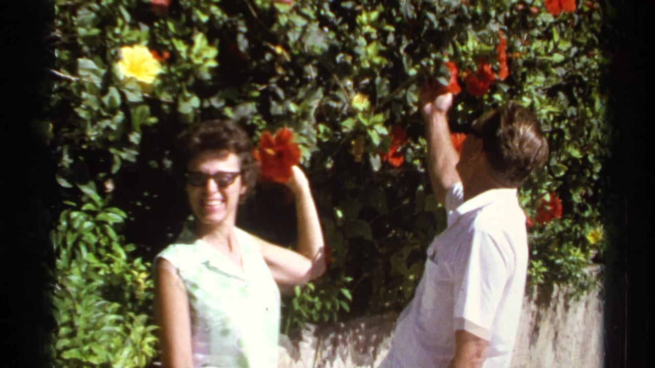 Woman and man in sunglasses gesture toward red flowers in a garden.
