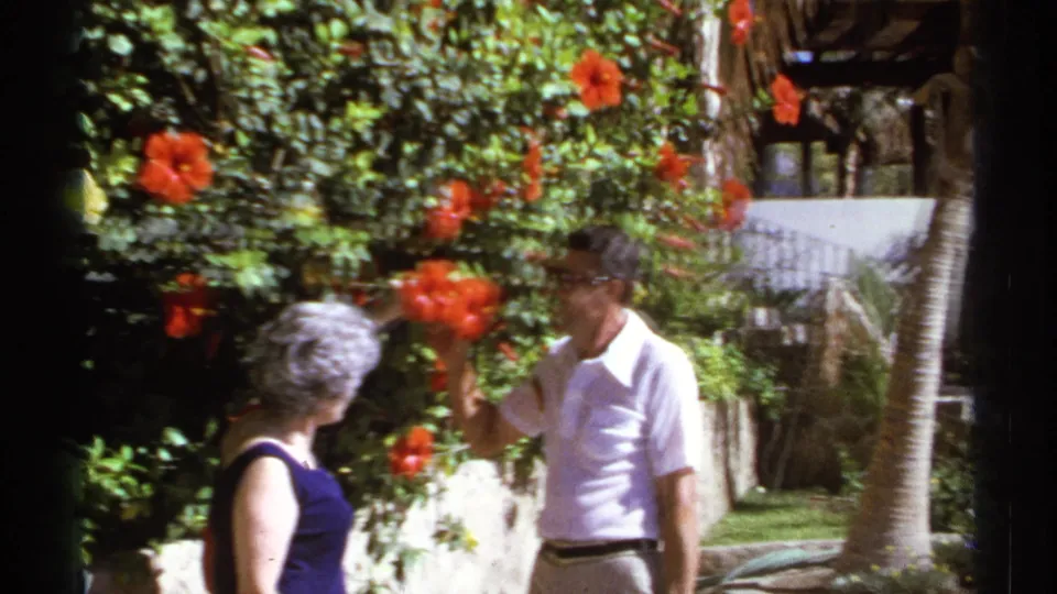 1974 Cabo San Lucas frame of two adults beside red hibiscus flowers, with lawn, palms, and a poolside area behind them.