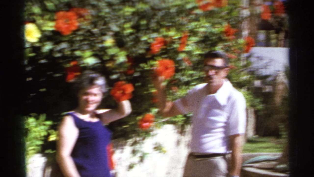 The couple faces the camera near hibiscus flowers, with greenery and white resort buildings visible in Cabo San Lucas.