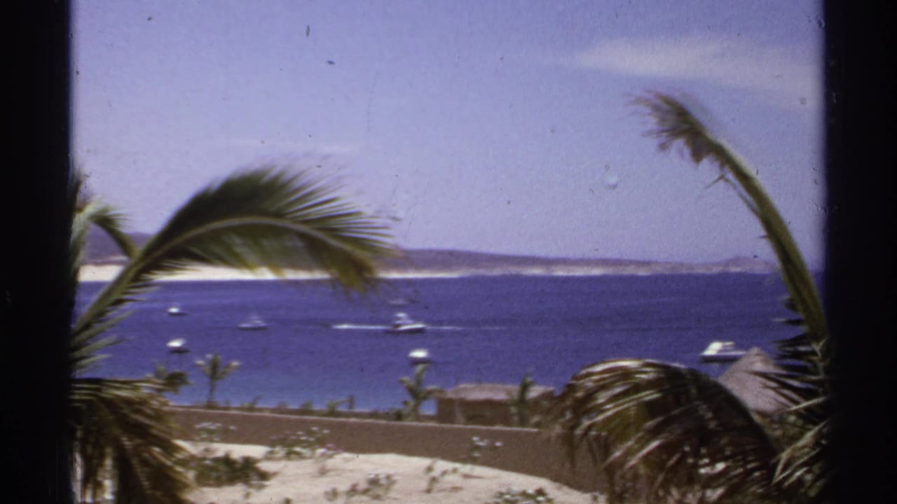Palm fronds frame a blue bay with small boats, a low wall, sandy ground, and distant hills.