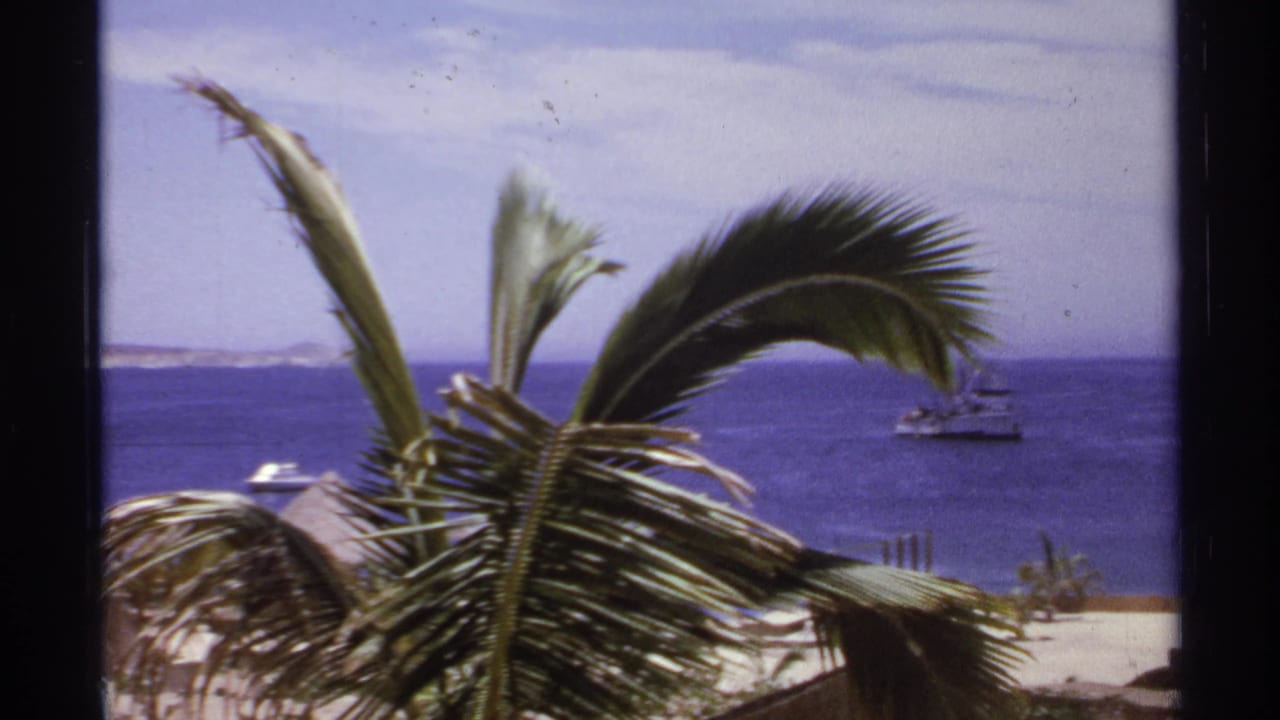 Palm fronds frame a blue sea with small boats offshore.
