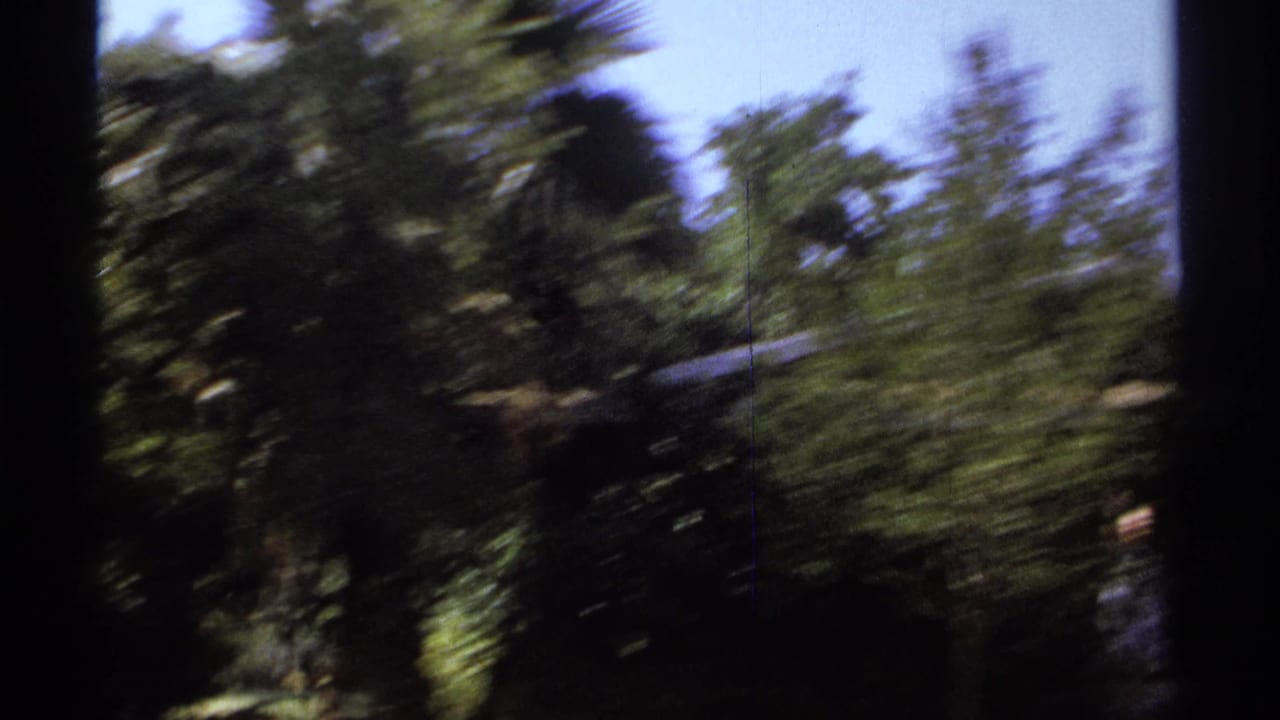 Blurred greenery and a dark vertical edge seen from a moving handheld camera.