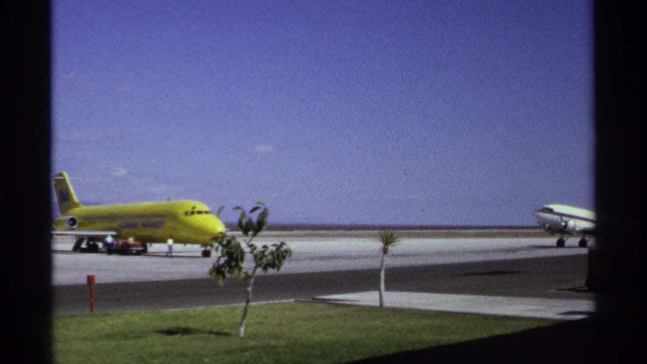 Yellow plane and white propeller aircraft on a sunny tarmac with palms and grass in front.