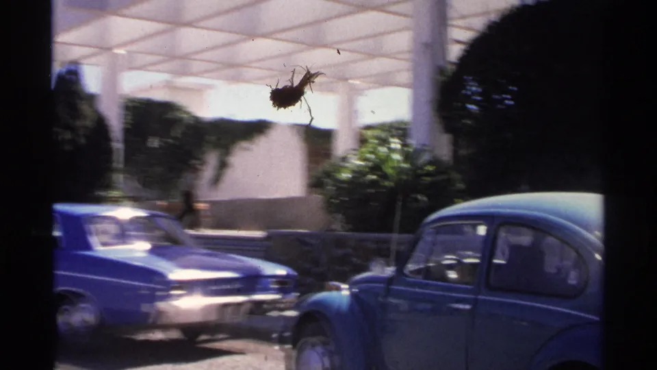 Two blue cars pass near a white covered structure and hedged roadside area in 1975 Guaymas home-movie footage.