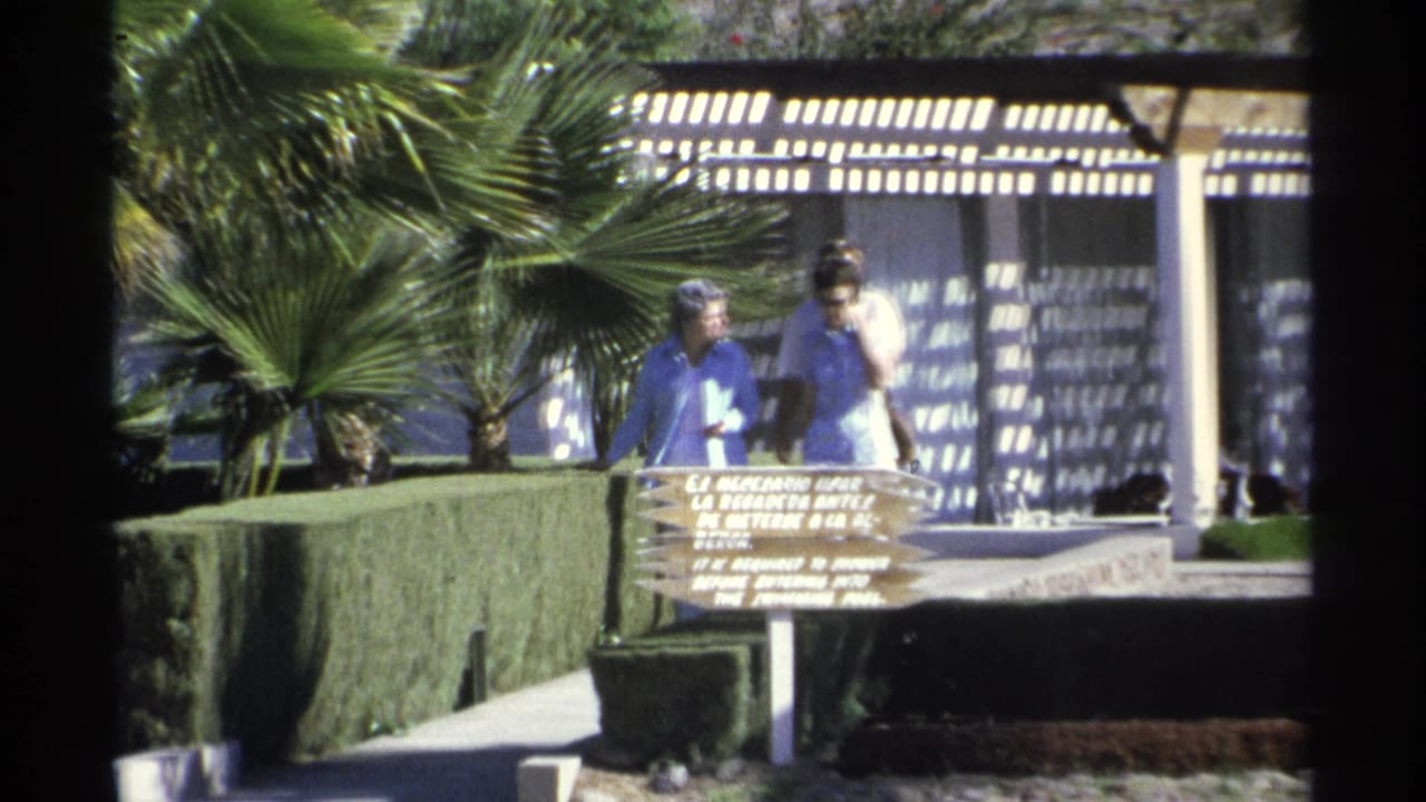 Three adults walk near hedges and a wooden resort sign under palm trees.