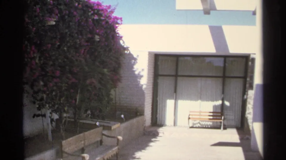 Sunlit Guaymas courtyard frame with benches, a large window, low walls, and flowering vines along the building exterior.