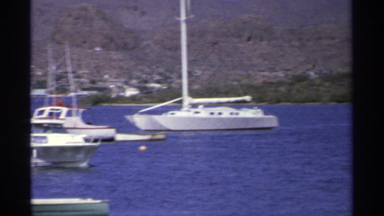 Several white boats sit or move on blue water near a mountainous shoreline.