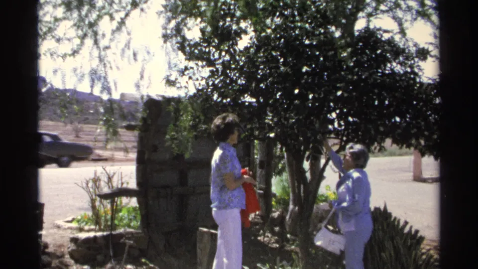 Two women in light 1970s clothing stand near a leafy tree in a sunlit Guaymas yard, one reaching upward with a bag on her arm.
