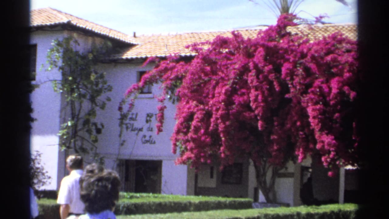 White hotel building with pink bougainvillea, terracotta roof, hedges, and visitors partly in frame.