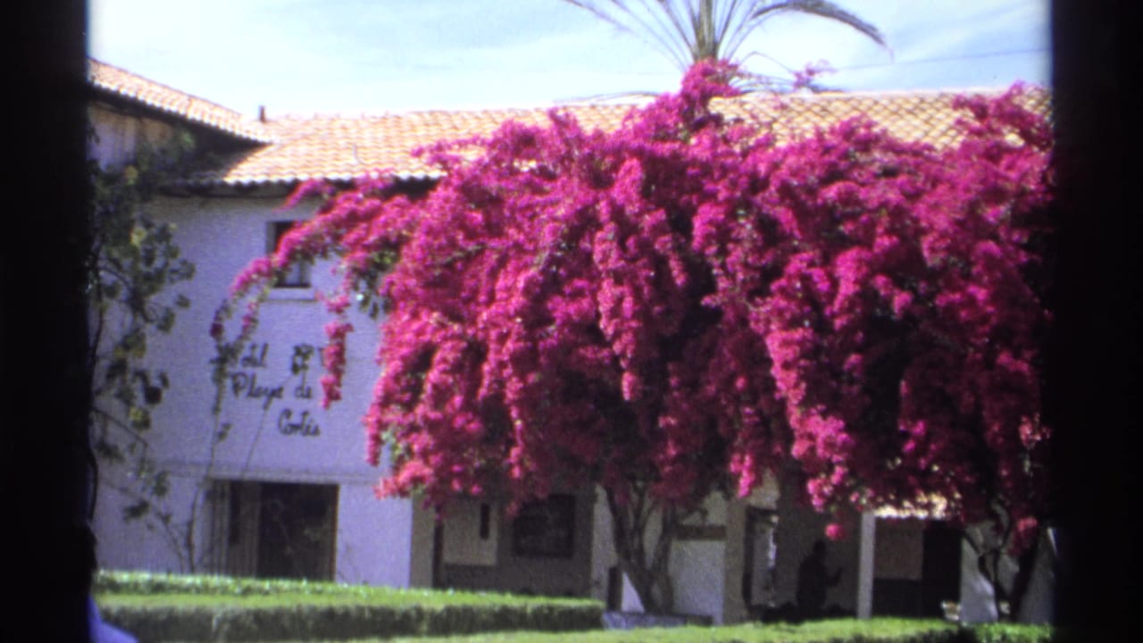 Pink bougainvillea hangs over a white hotel facade with roof tiles, hedge, and dark frame edges.
