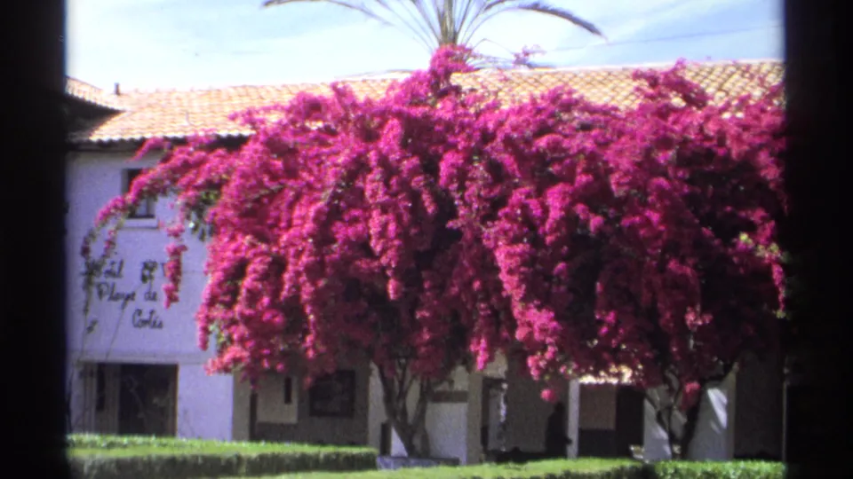 1975 Guaymas 8mm frame showing Hotel Playa de Cortes signage, white walls, roof tiles, and flowering bougainvillea in strong sun.