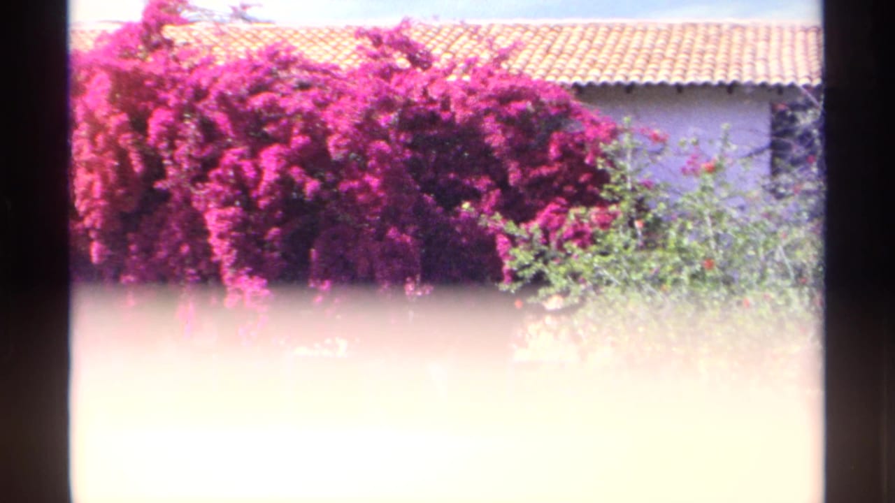 Overexposed window-framed view of bougainvillea and a terracotta-roofed building.