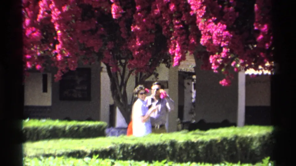 1975 Guaymas home-movie frame showing two adults under dense magenta bougainvillea beside a white building and trimmed hedge.