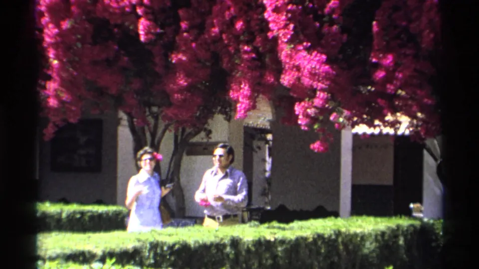 1975 Guaymas frame of two adults beneath a flowering bougainvillea canopy, with a white building, hedge, and window bars visible.