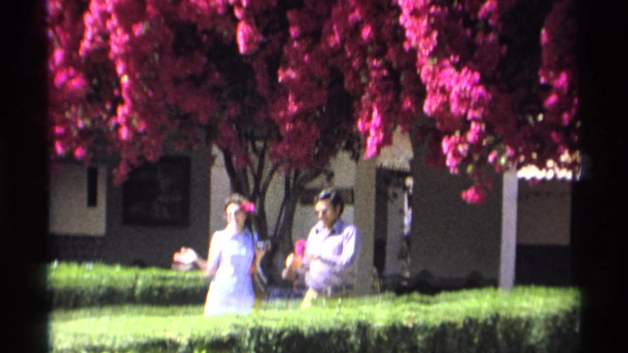 Adults stand near hedges beneath bright pink bougainvillea in a sunlit garden.