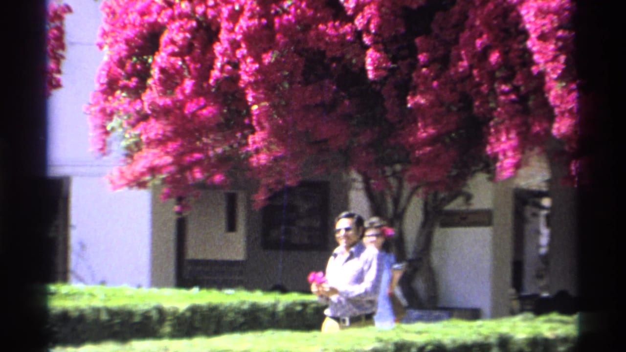 Man in sunglasses holds a red flower near hedges and a flowering tree.