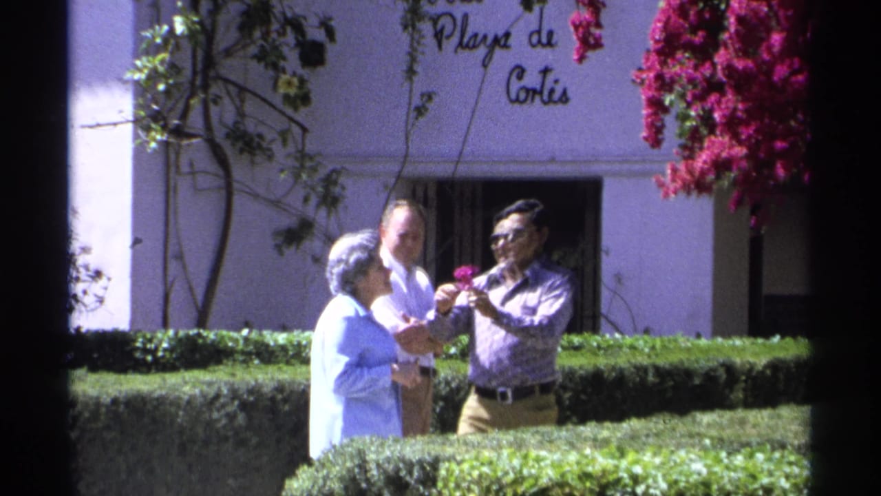 Man placing a pink flower in an elderly woman's hair beside hedges and a Playa de Cortes wall.