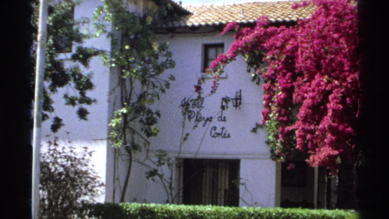 Hotel wall sign beside green vines and a large magenta bougainvillea.