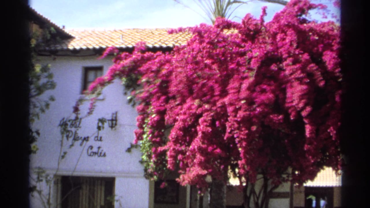Pink bougainvillea covers part of a white stucco hotel facade behind dark foreground columns.