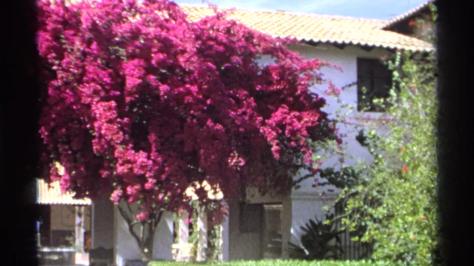 Guaymas 1975 home-movie frame with magenta bougainvillea, pale stucco-like wall, roof tiles, windows, and garden greenery.