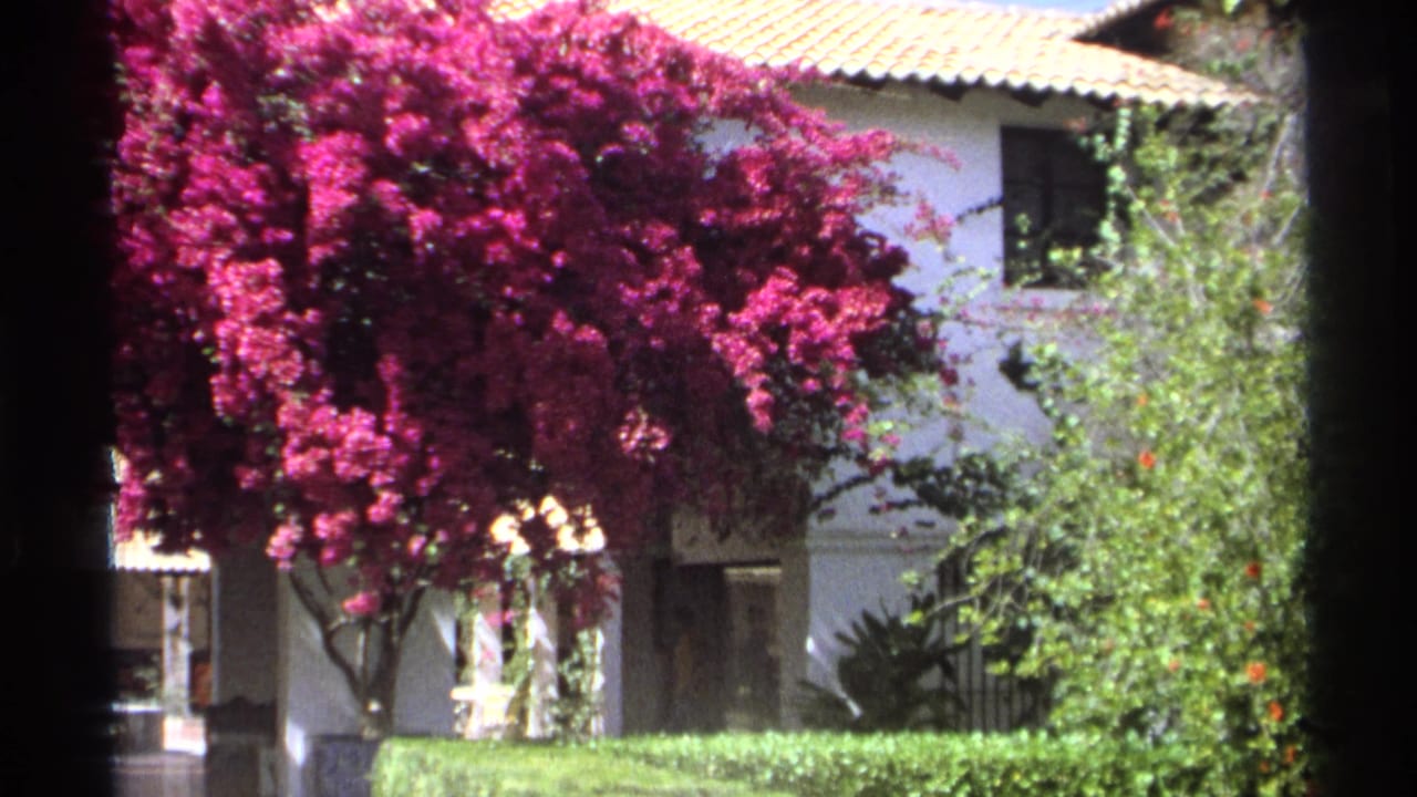 Bougainvillea trees frame a white stucco courtyard with hedges and arched openings.