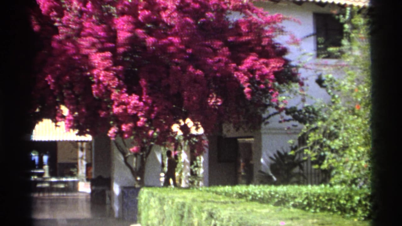 White stucco building, flowering bougainvillea, hedges, and shaded corridor in a plaza.