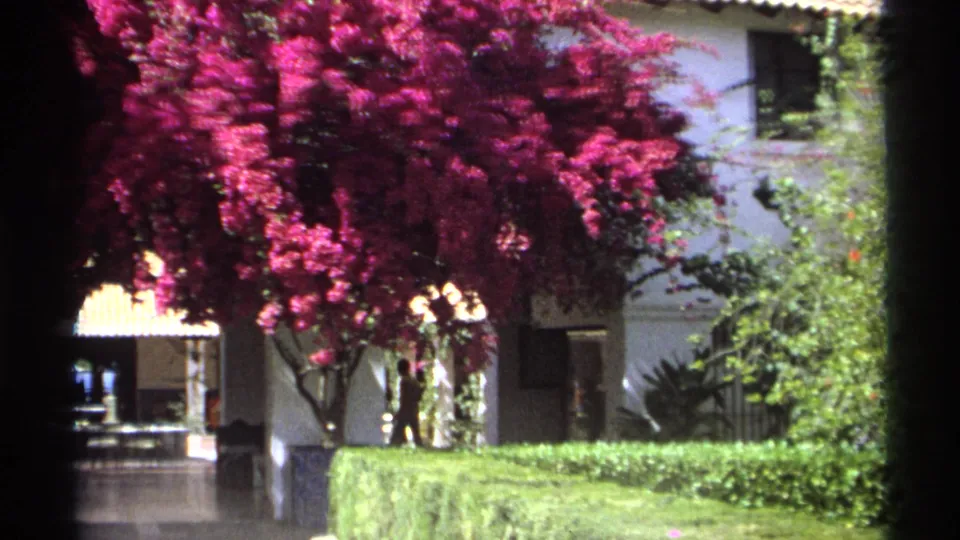 Guaymas, Mexico 1975 exterior with bougainvillea trees, clipped hedges, white walls, and a shaded passage through the building.